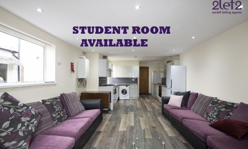 Harriet Street - House Share  - Cardiff Letting Agents