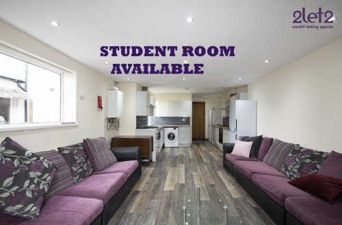 Harriet Street - House Share  - Cardiff Letting Agents